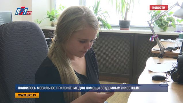 Появилось мобильное приложение для помощи бездомным животным