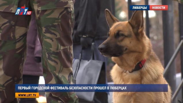 Первый городской фестиваль безопасности прошел в Люберцах