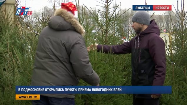 В Москве и Подмосковье открылись пункты приема новогодних елей