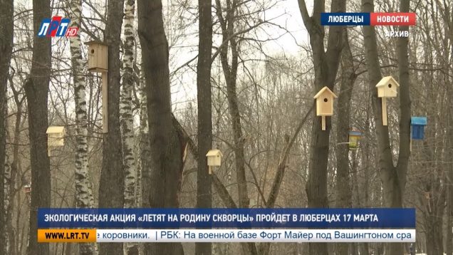 Экологическая акция «Летят на Родину скворцы» пройдет в Люберцах 17 марта