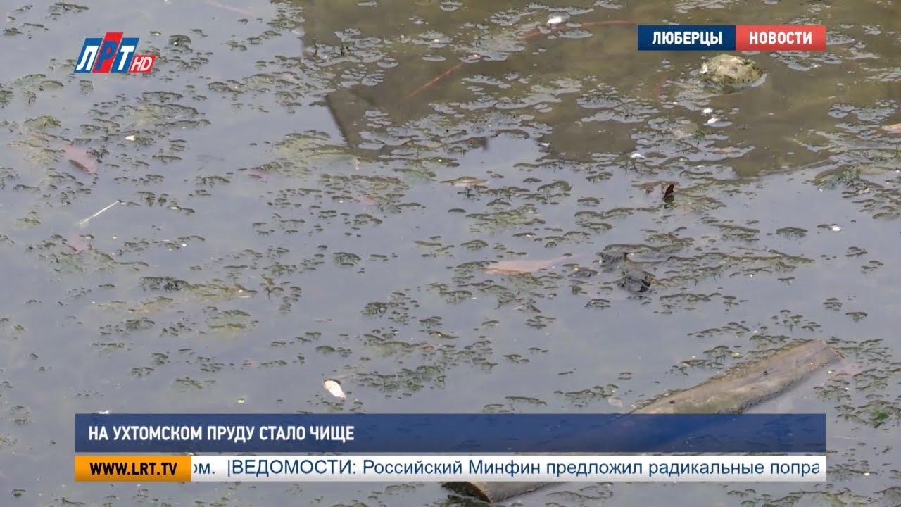 На Ухтомском пруду стало чище