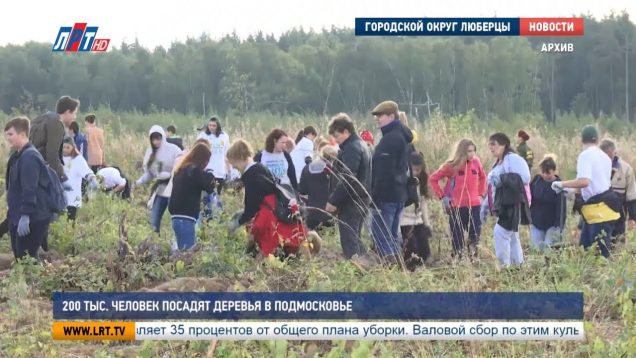 200 тыс. человек посадят деревья в Подмосковье