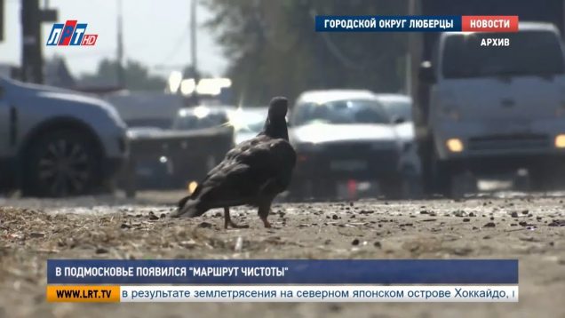 В Подмосковье появился «Маршрут чистоты»