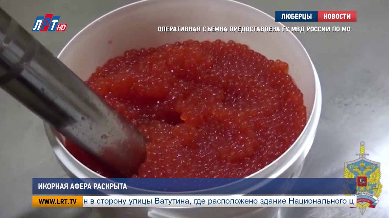 Икорная афера раскрыта