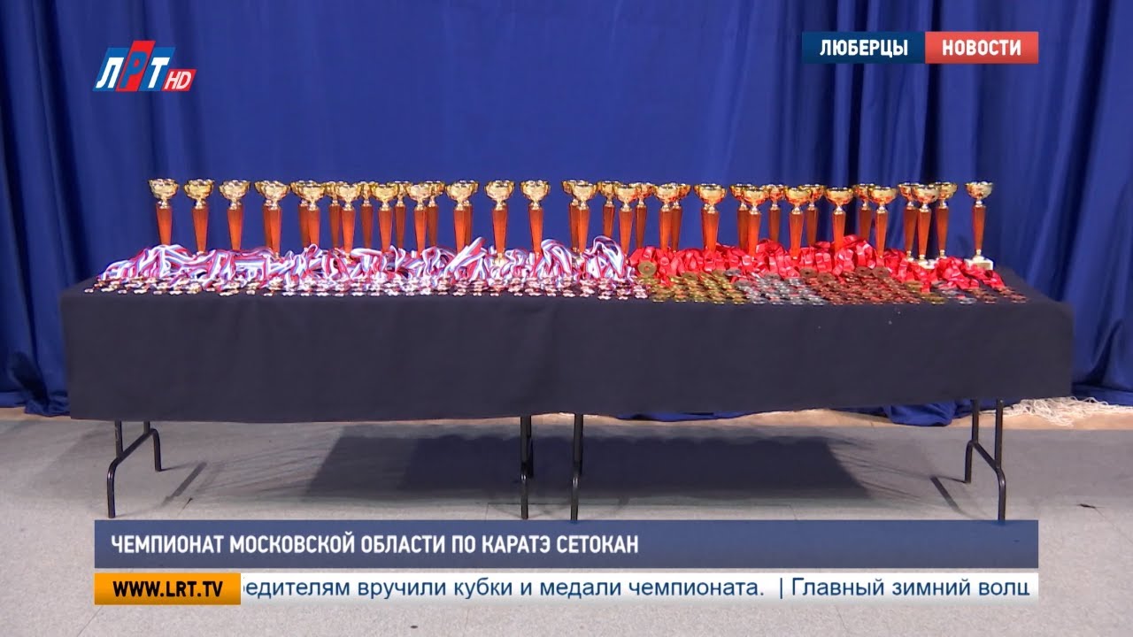 Чемпионат Московской области по каратэ сетокан