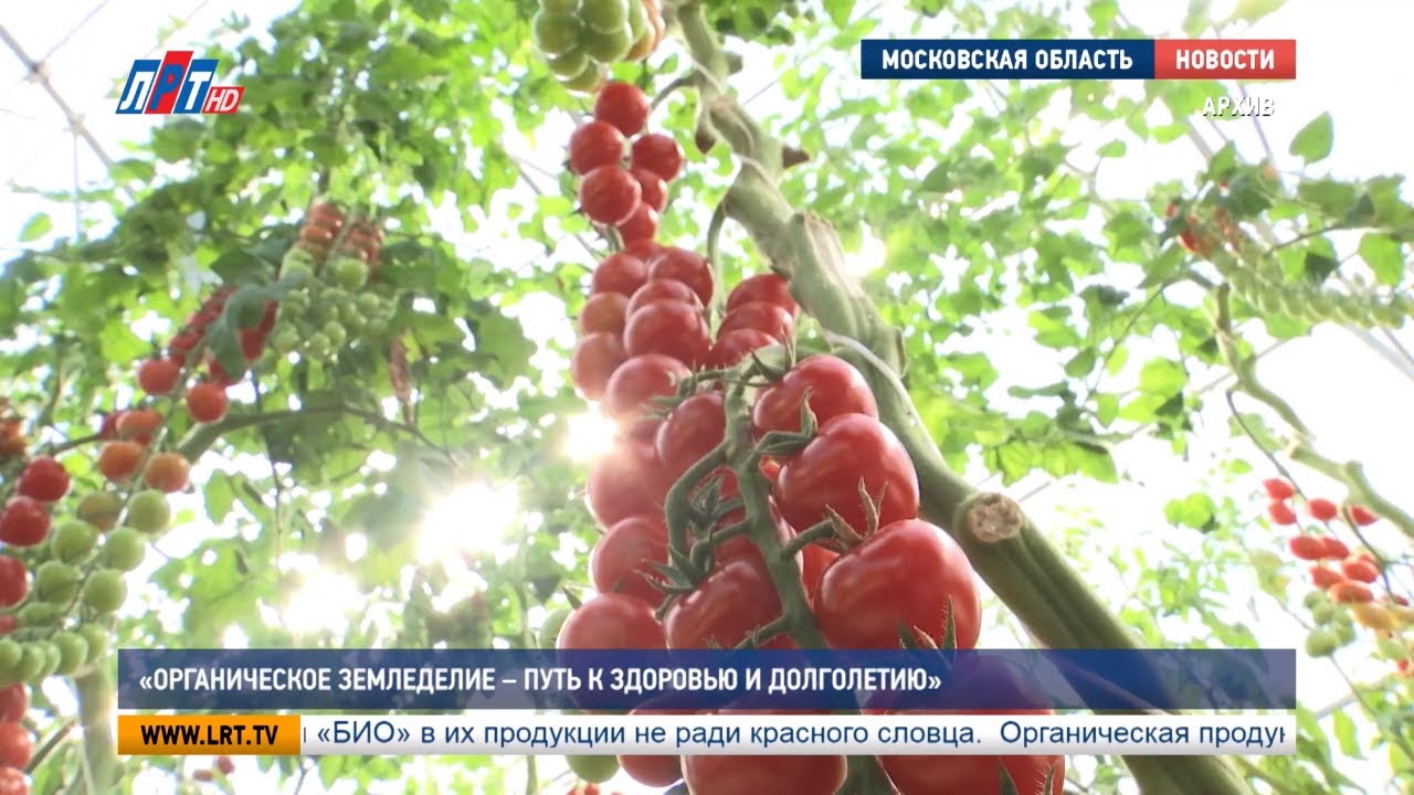 «Органическое земледелие – путь к здоровью и долголетию»