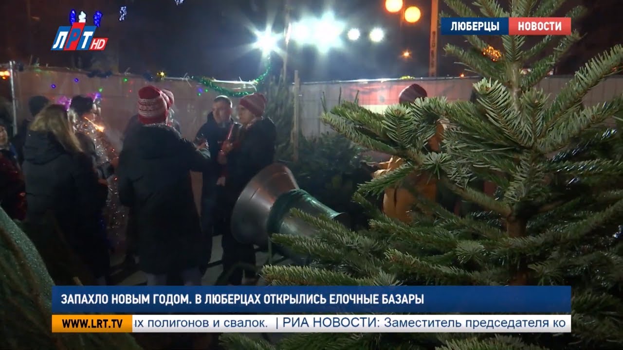 Запахло Новым годом. В Люберцах открылись елочные базары