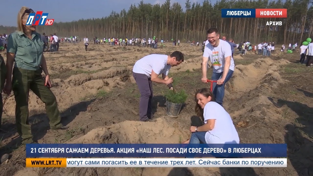21 сентября сажаем деревья. Акция «Наш лес. Посади своё дерево» в Люберцах