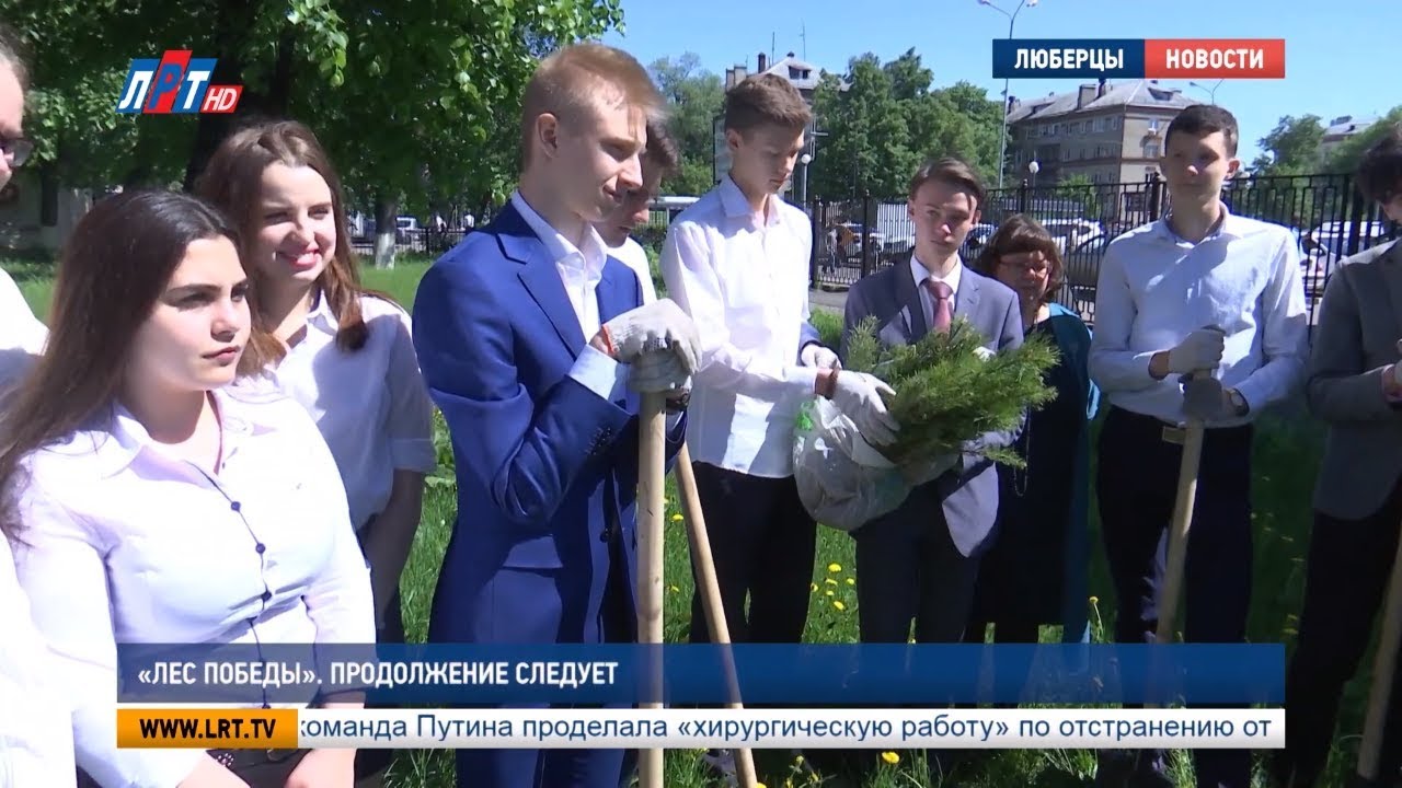 «Лес Победы». Продолжение следует