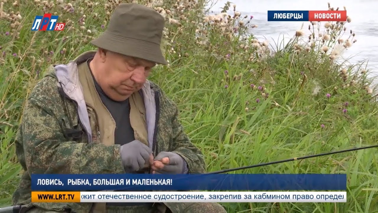 Ловись, рыбка, большая и маленькая!