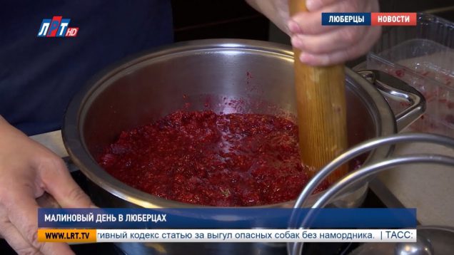 Малиновый день в Люберцах