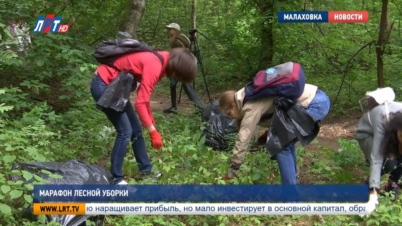 Марафон лесной уборки