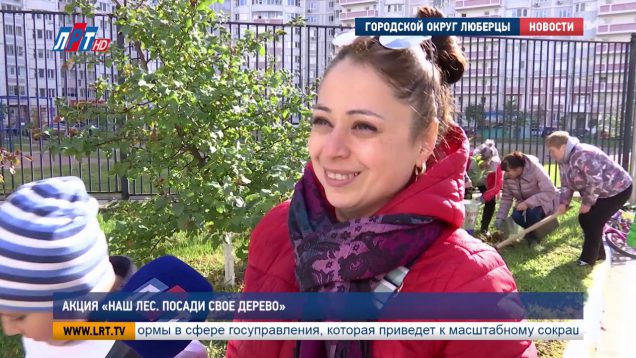 “Наш лес. Посади своё дерево”