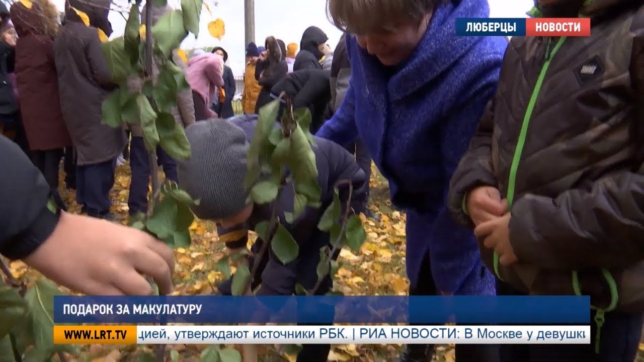 Подарок за макулатуру