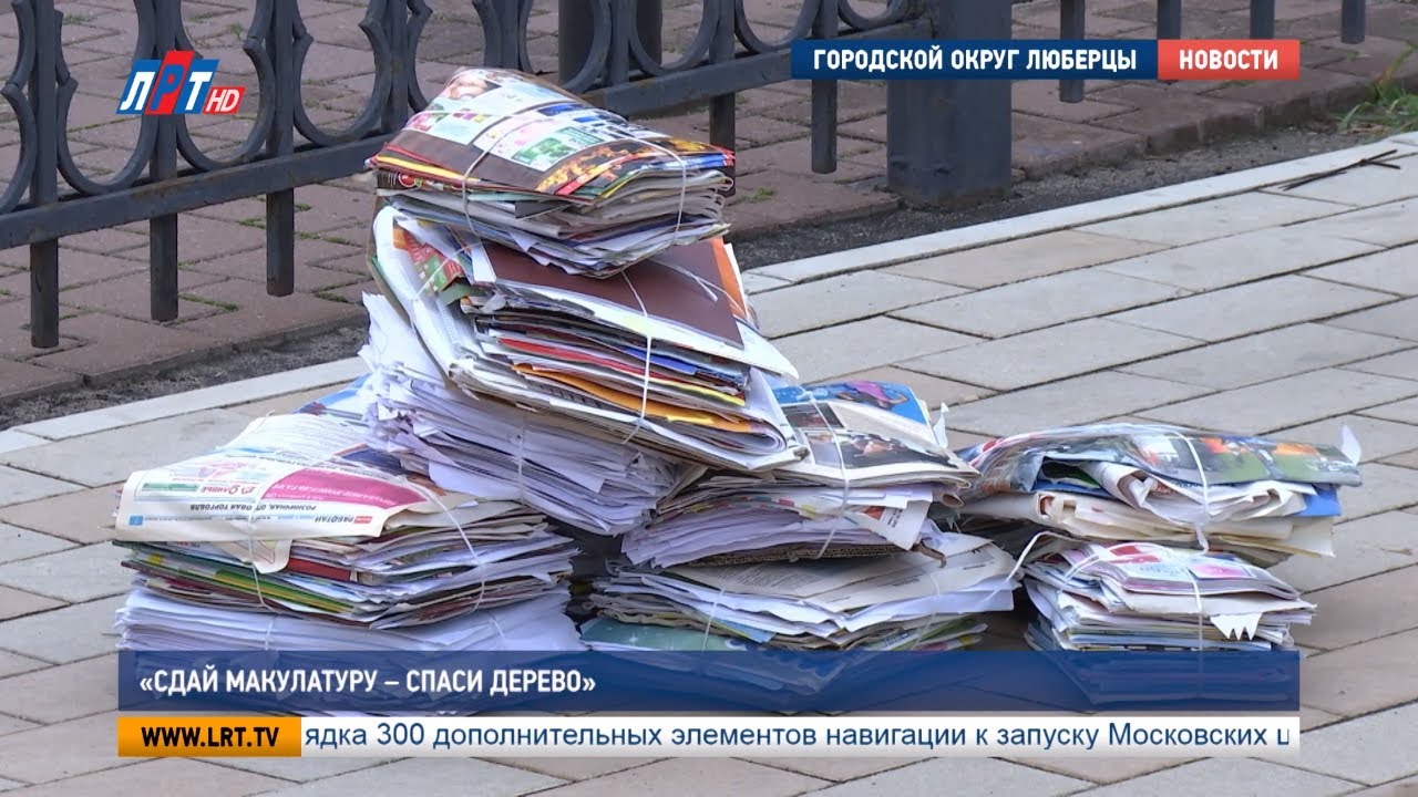 «Сдай макулатуру – спаси дерево»