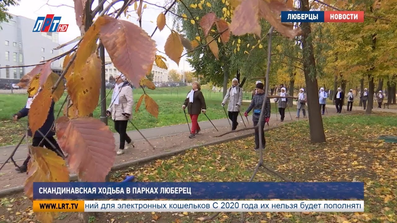 Скандинавская ходьба в парках Люберец
