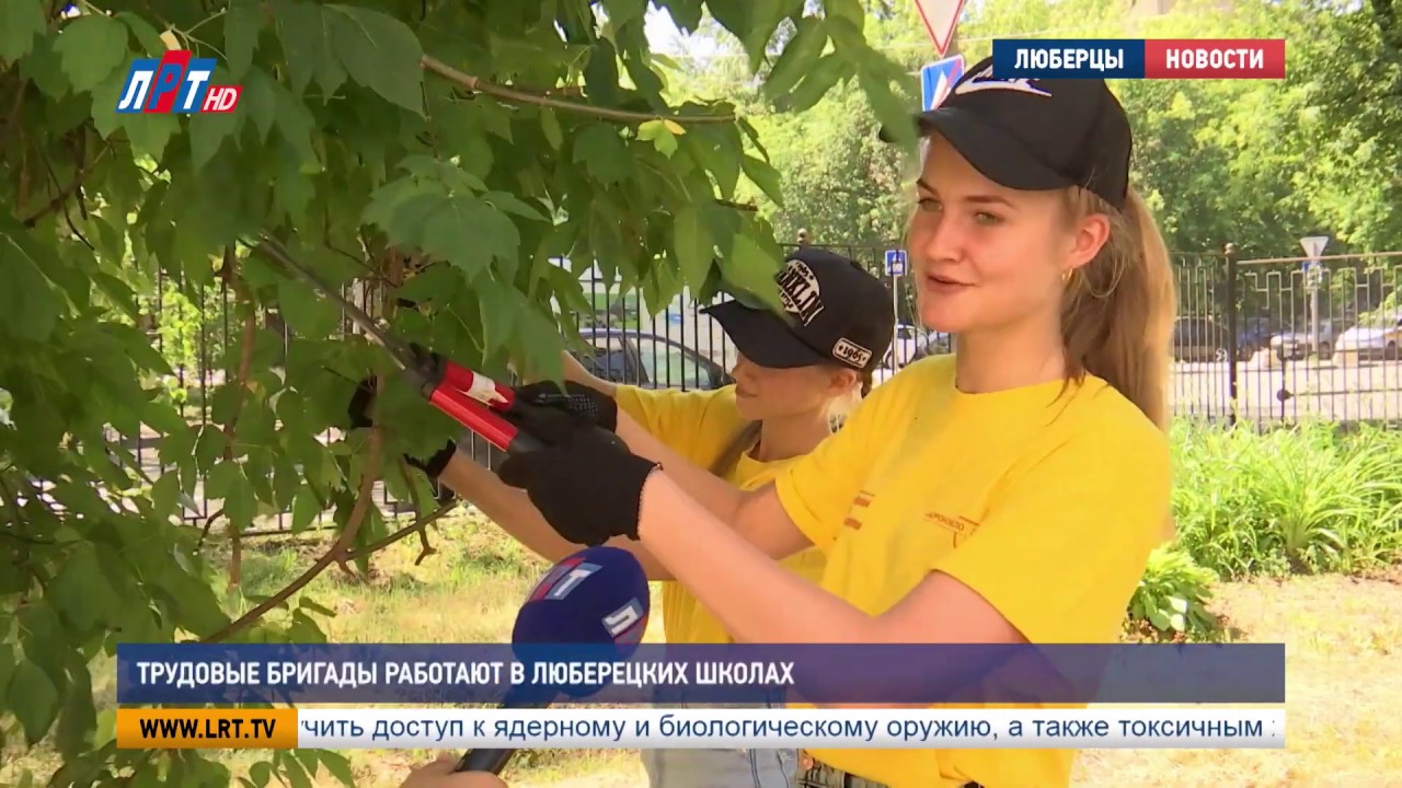 Трудовые бригады работают в люберецких школах