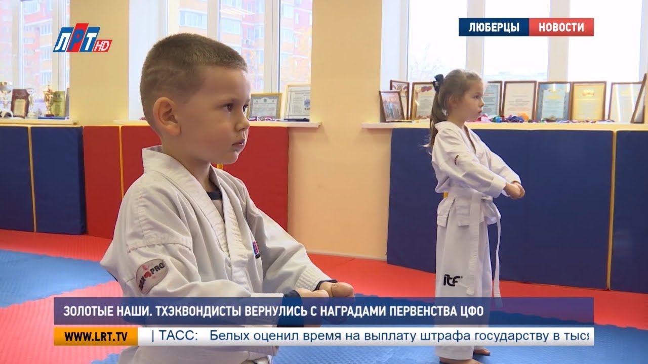 Золотые наши. Тхэквондисты вернулись с наградами первенства ЦФО