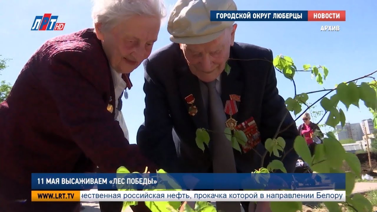 11 мая высаживаем «Лес Победы»