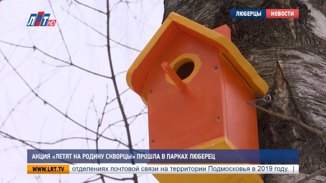 Акция «Летят на родину скворцы» прошла в парках Люберец
