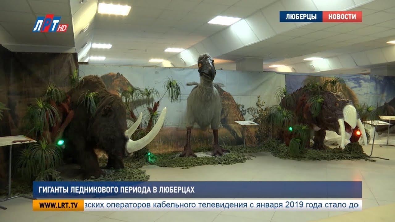 Гиганты Ледникового периода в Люберцах