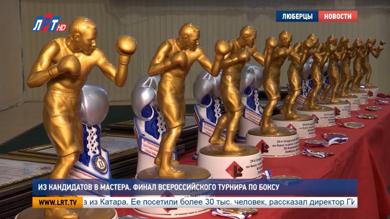 Из кандидатов в мастера. Финал Всероссийского турнира по боксу