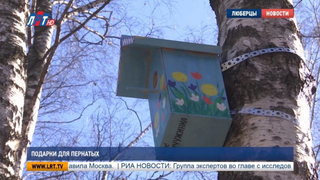 Подарки для пернатых