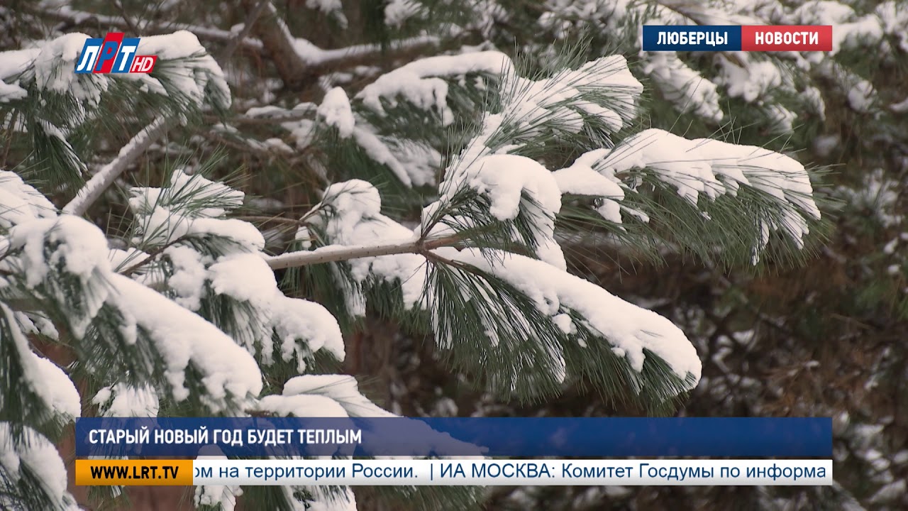 Старый Новый год будет тёплым