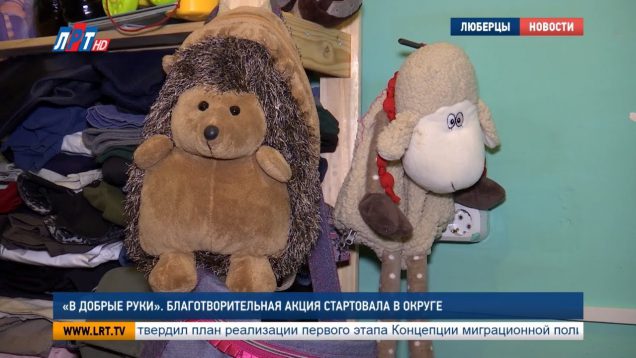 “В добрые руки”. Благотворительная акция стартовала в округе