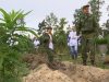 Наш лес. Посади свое дерево