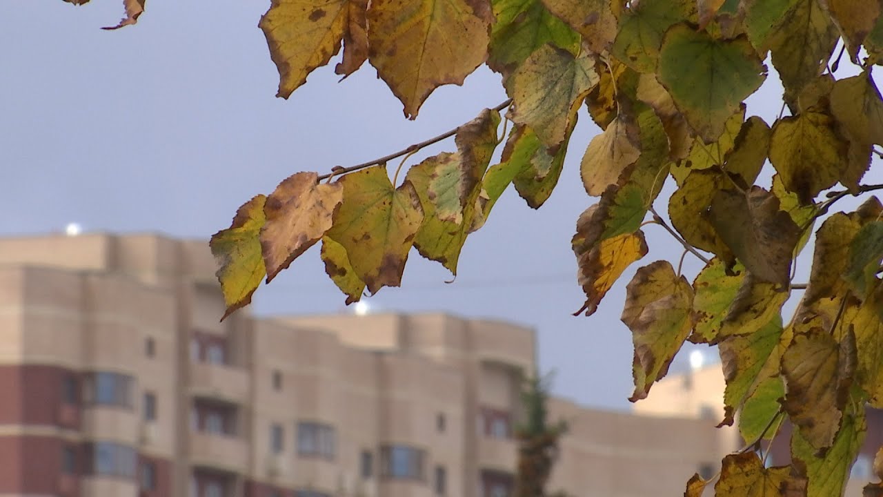 У природы нет плохой погоды