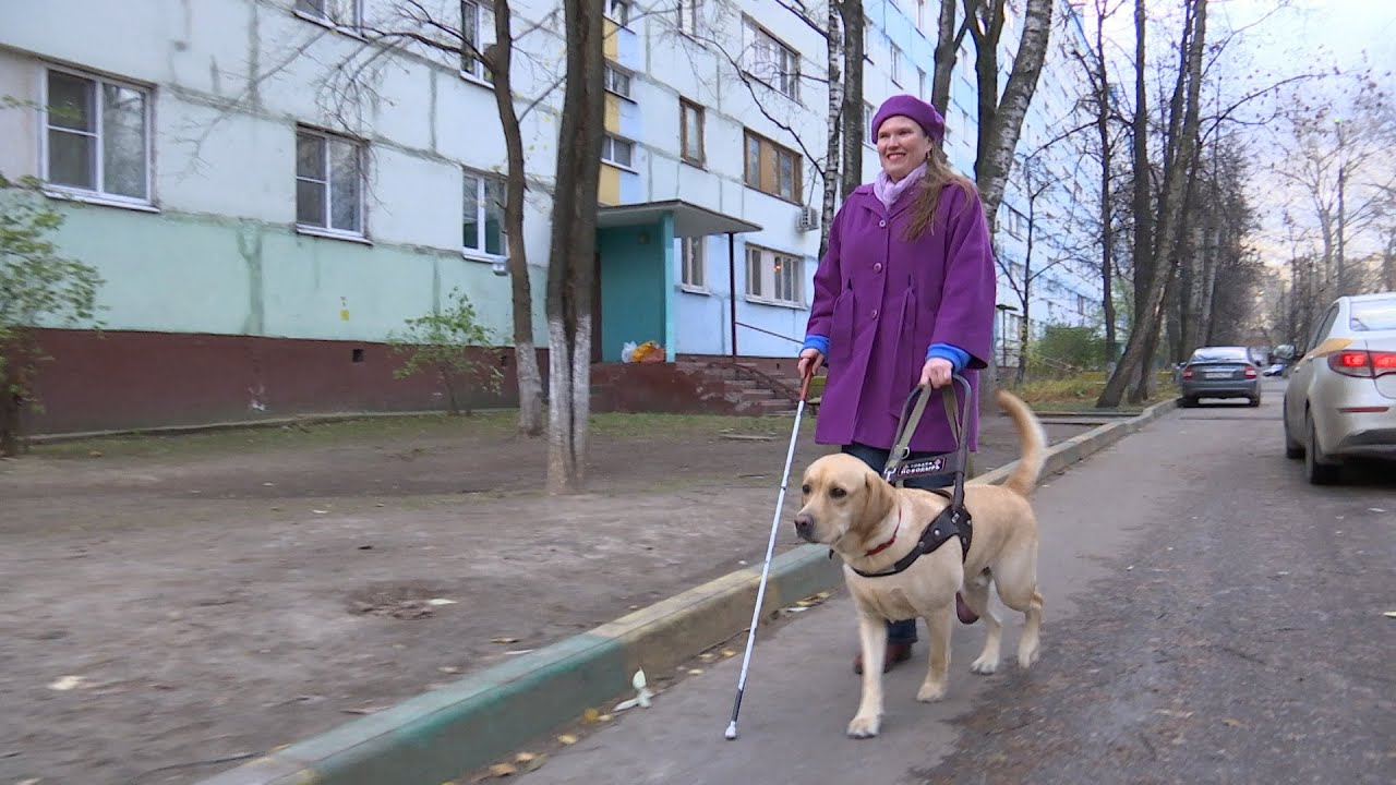 Видеть мир с помощью звуков
