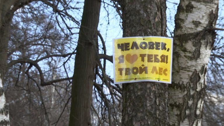 Чистый двор, чистый парк, чистый город