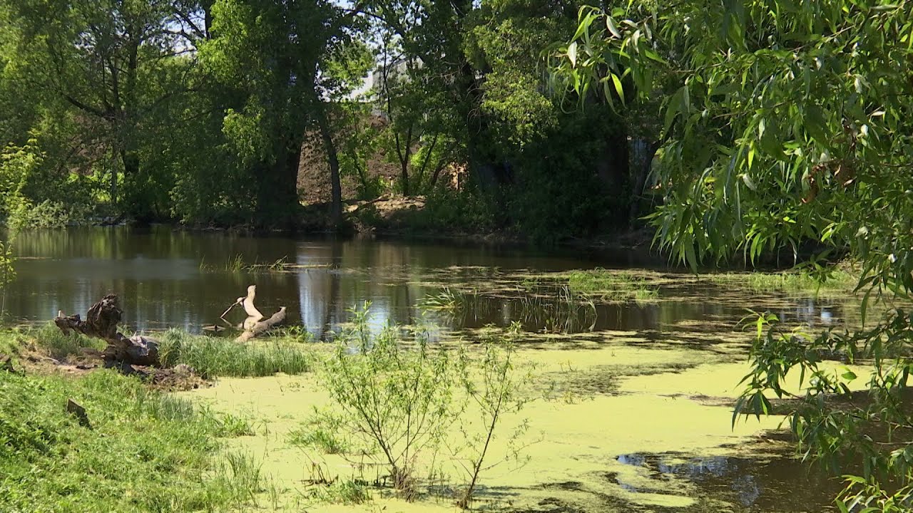 В Люберцах продолжается экологическая акция «Вода России»