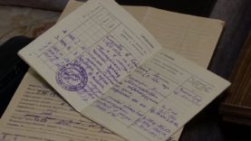 Покормите птиц зимой!