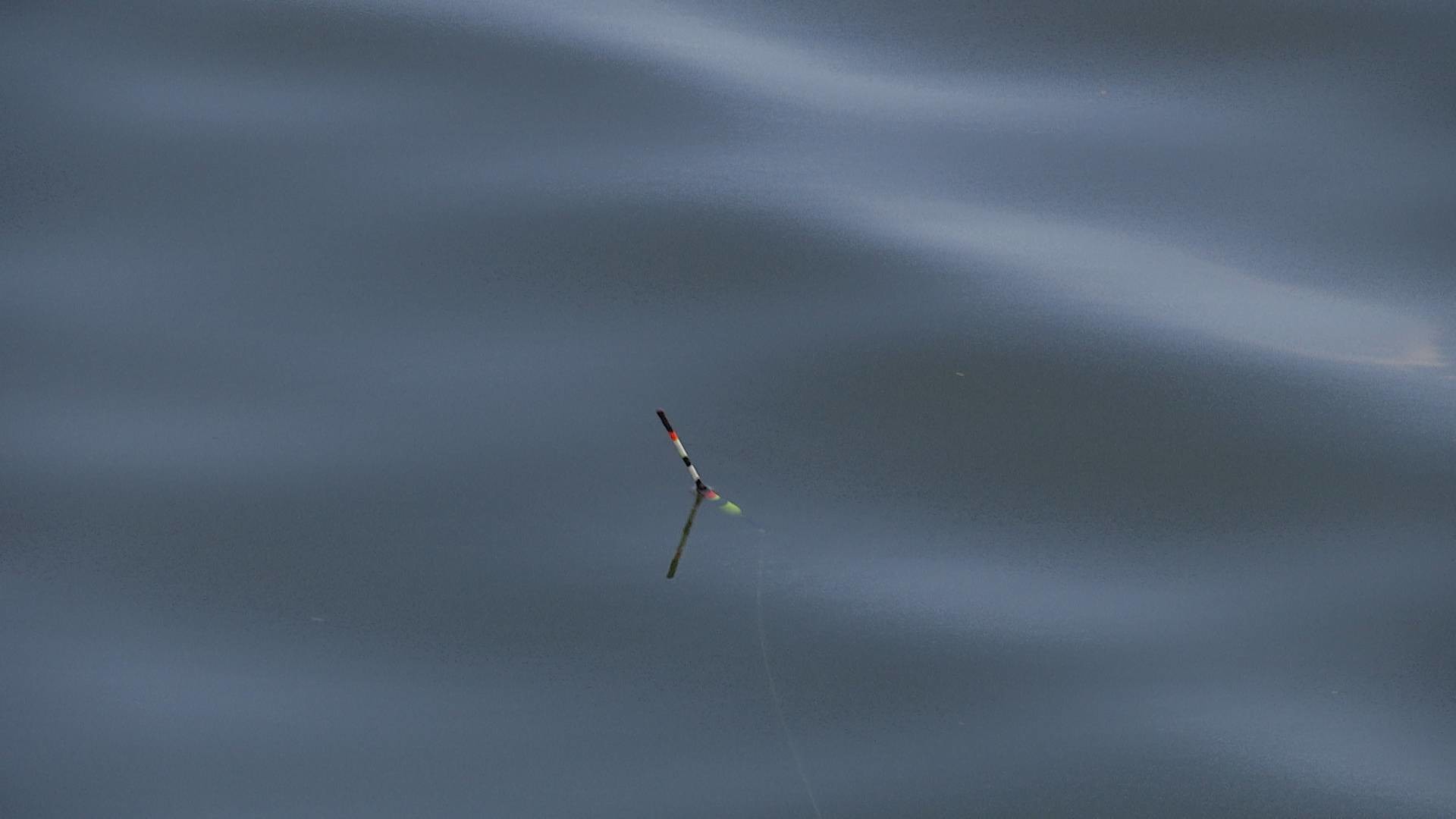 1_bc4117bd82ed658988b65fedf62920bc