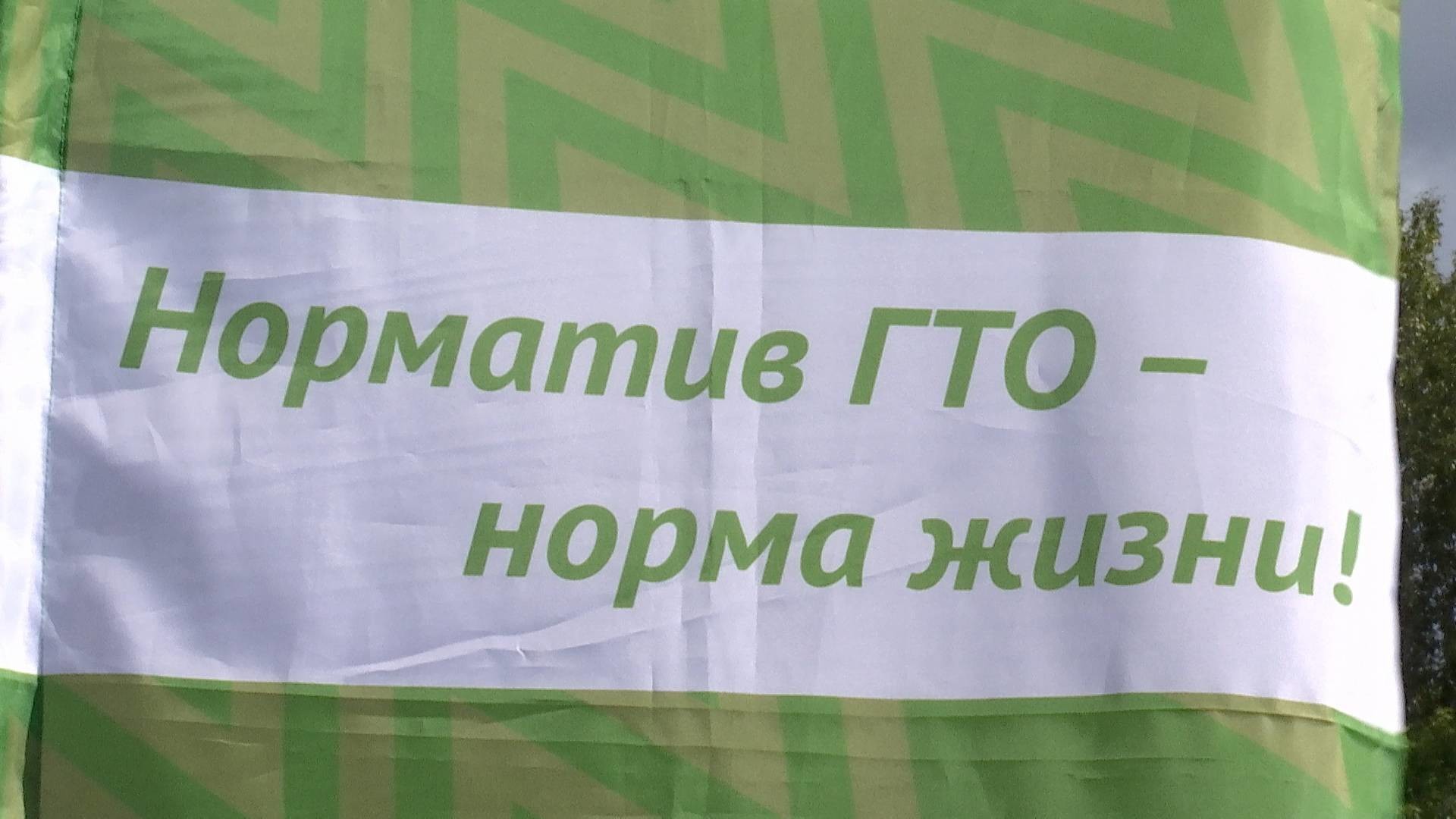 c0acc6dd55c82d301e4820bc7f99d7ac