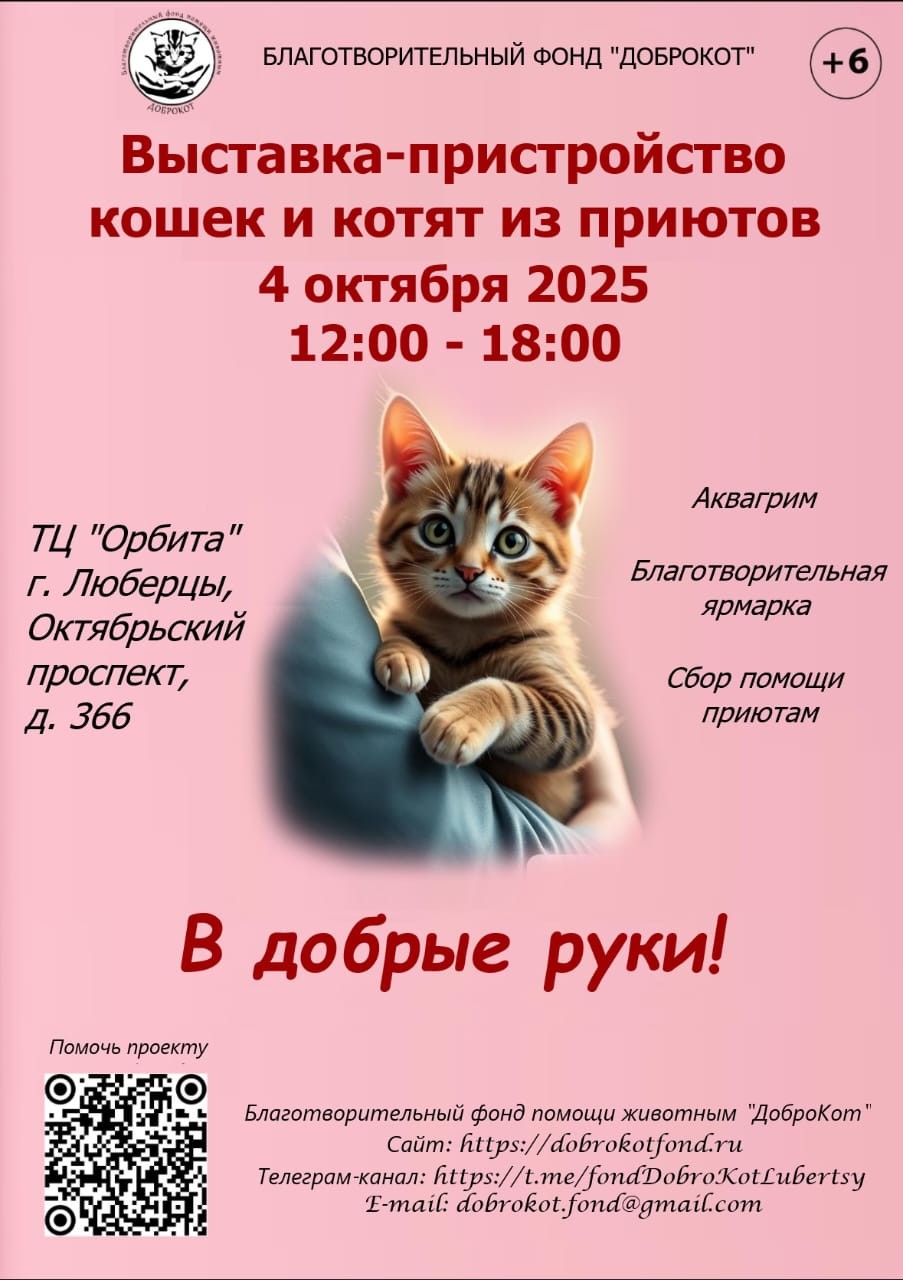 WhatsApp Image 2025-09-30 at 17.28.35
